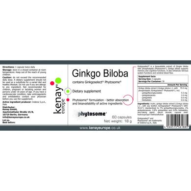 Гинкго Билоба Ginkgoselect® Phytosome®, 60 капсул